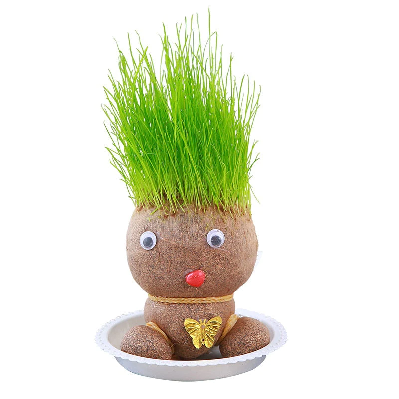 Plant Grass Doll