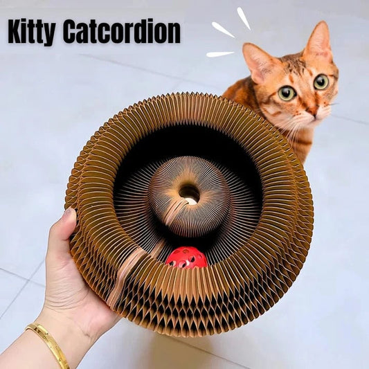 Kitty Kurlz™ Catcordion Pet Toy